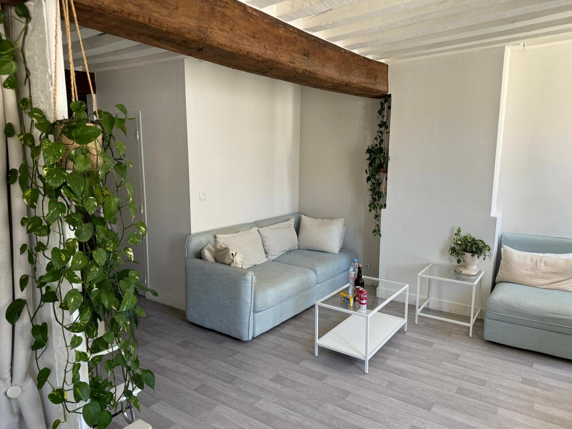 Appartement Central - Orleans Exterior photo