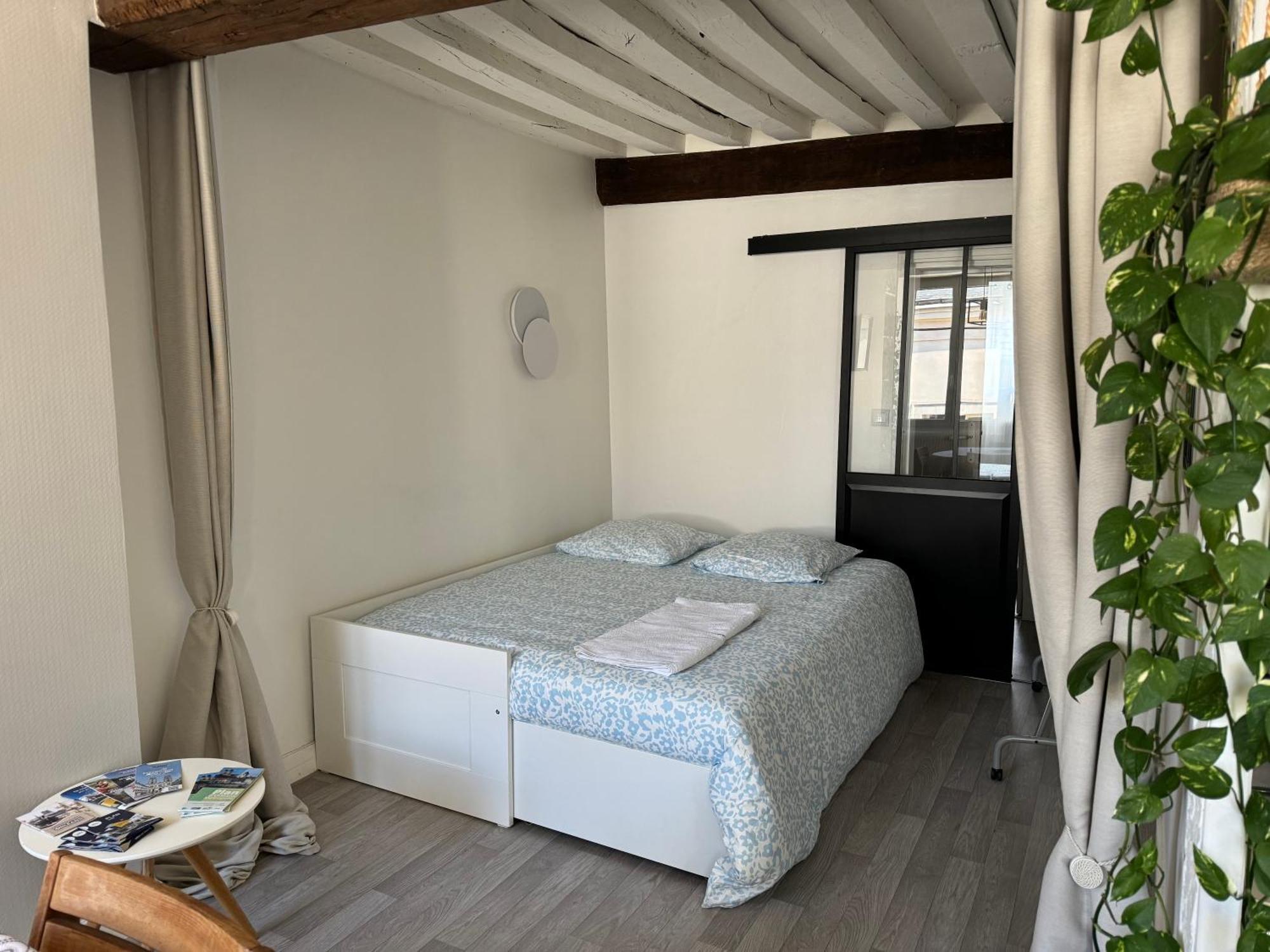 Appartement Central - Orleans Exterior photo